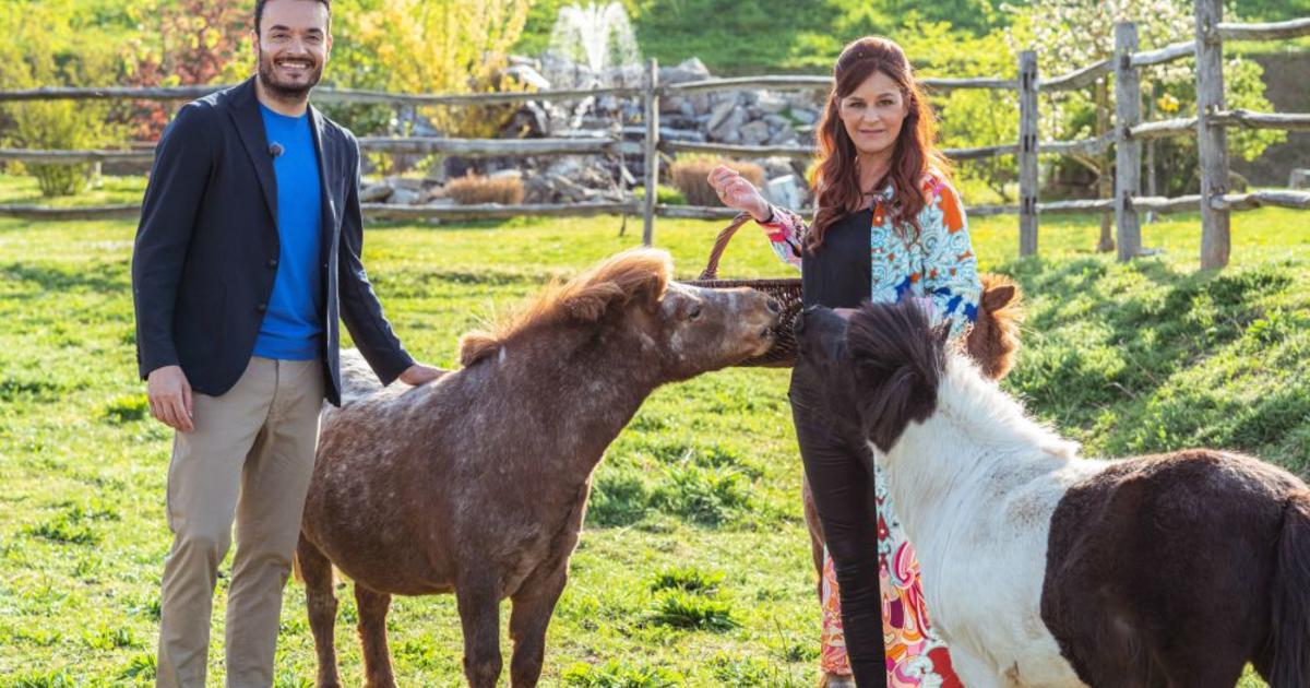 Andrea Berg „Das Leben ist ein Mosaik“Doku im ZDF